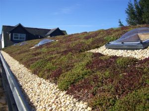 Green roofing in Kent Green roofing in Kent