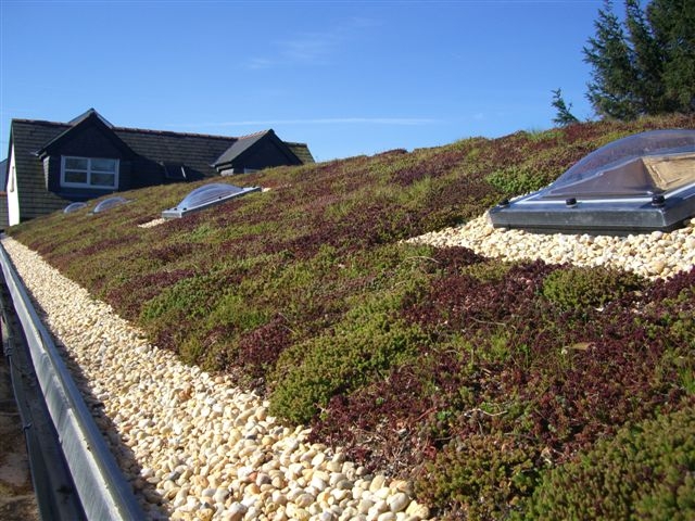 Green roofing in Kent