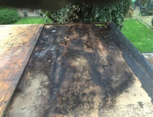 Flat Roof – Before